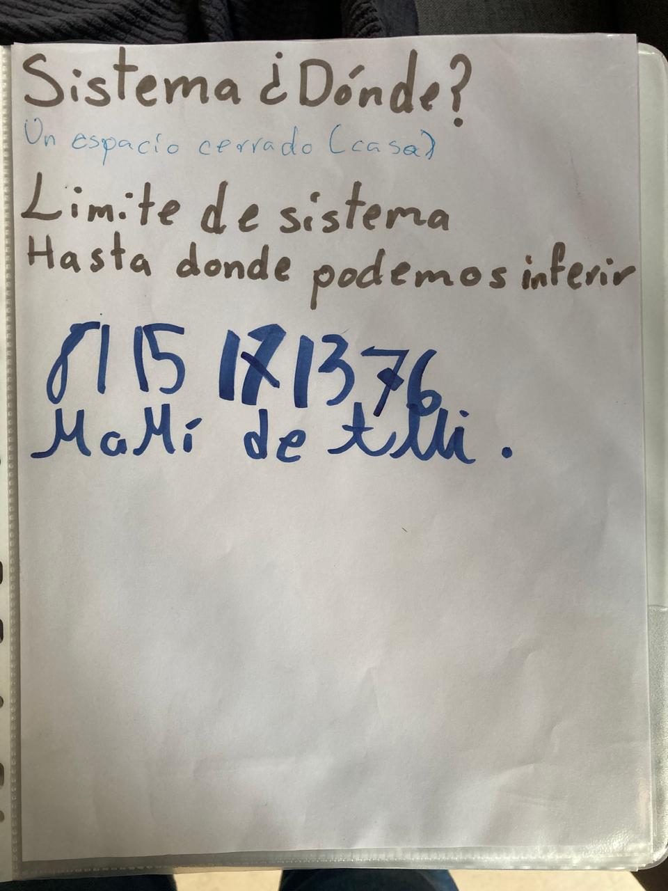 Evaluación EMDR — Definición del sistema
